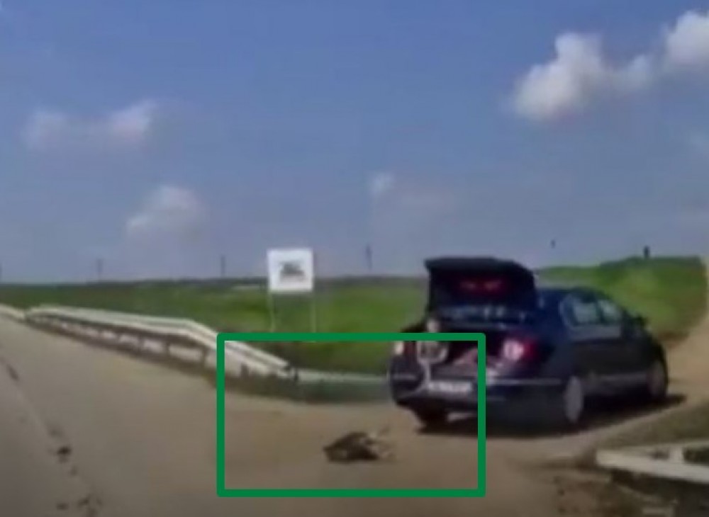 Cruzime fără margini. Un câine, legat cu o funie de mașină, este târât pe o șosea